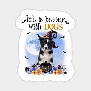 Border Collie Witch Hat Life Is Better With Dogs Halloween Magnet