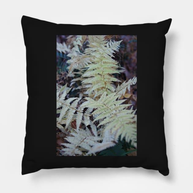 Fall ferns Pillow by glovegoals