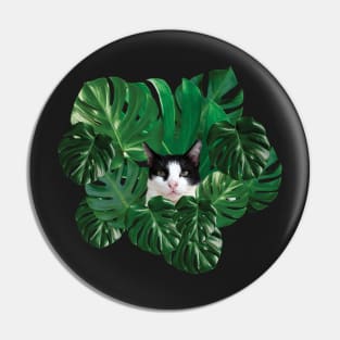 Cute Tuxedo Cat And Monstera Leaves Pin