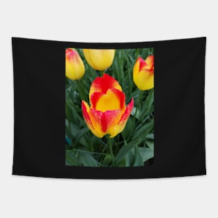 A flower's pride Tapestry