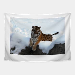 Tiger in the Snow Tapestry