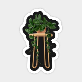 Philodendron Hederaceum Plant Magnet