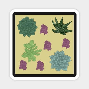 Succulents Pattern Peach Magnet