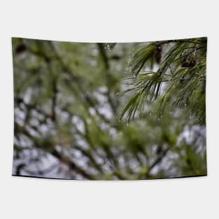 Pine Branch Border Tapestry