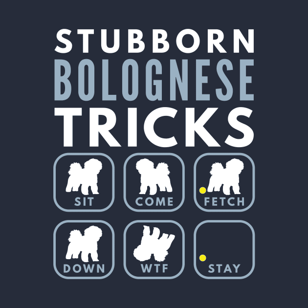 Stubborn Bichon Bolognese Tricks - Dog Training by DoggyStyles