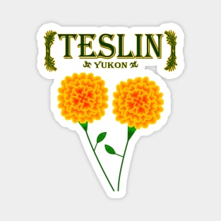 Teslin Magnet