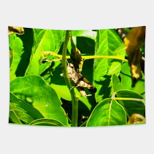 Grasshopper Tapestry