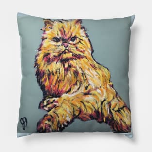 Nosey Josie Persian Cat Pillow