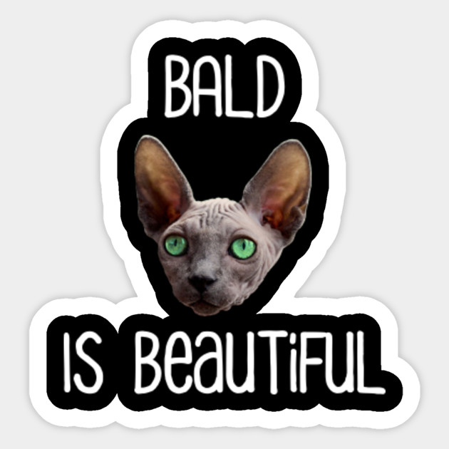 Bald Is Beautiful Cute Hairless Sphynx Cat Sphynx Cat Sticker Teepublic