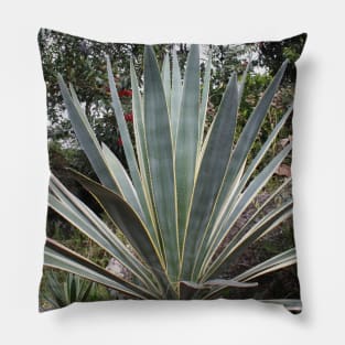 Mexican Plant Pillow