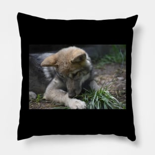 Wolf Pup Pillow