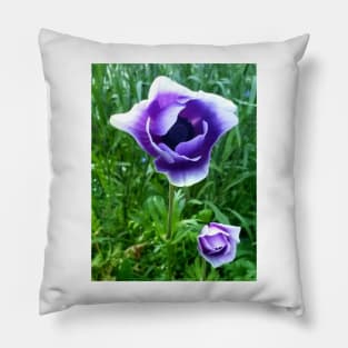 Delicate purple and white anemones Pillow