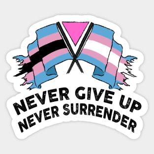 trans rights Sticker for Sale by robinauts