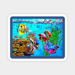 Colorful Aquarium Magnet