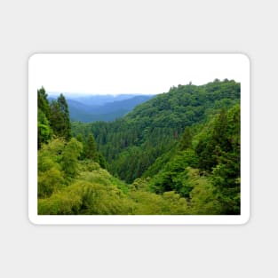 Japan Mountain Forest Ryokan View Magnet