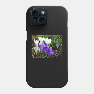 Spring Crocus - white and purple Phone Case