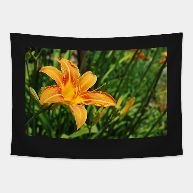 Wild Orange Lily Tapestry by jojobob