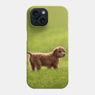 A Cockapoo Puppy (Named Sunny) Phone Case