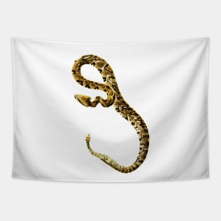 serpent,cobra,reptile,viper,venom,lizard,rattlesnake,king cobra,dragon,hydra,poison,venomous,plumber's snake,pythonidae,pythons,auger,python,squamata,serpentine,worm,big,ophidian,rattlesnakes,medusa,snakebite Tapestry