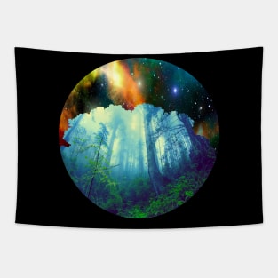 Cosmic Wood Tapestry