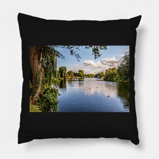 The  River Thames at Benson Pillow