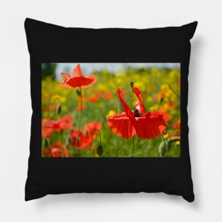 Wild Red Poppies Pillow