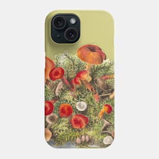 Study of Mushrooms Phone Case