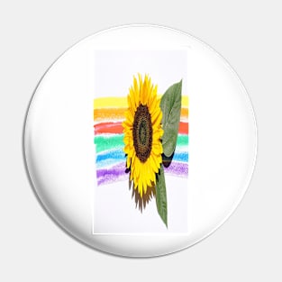 The gay sunpower Pin