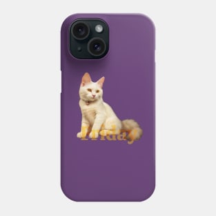 Friday cat!. Already there! Phone Case