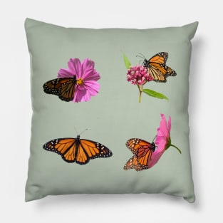 A Garden of Monarch Butterflies on Milkweed and Cosmos Flowers Pillow