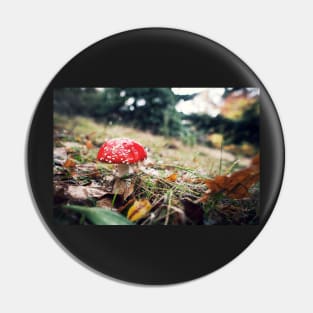 Red Mushroom with White Spots Pin