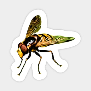 Pretty Giant wasp for Insect Lovers Magnet