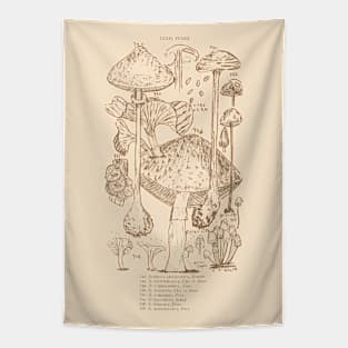 A diagram of mushrooms Tapestry