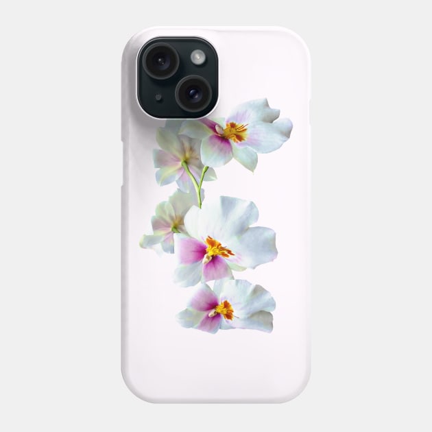Orchid Miltoniopsis Florentine Phone Case by SusanSavad