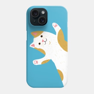 Cute Calico Cat Phone Case