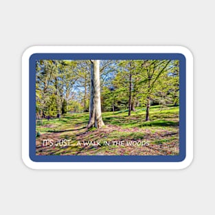 IT'S JUST A WALK IN THE WOODS 2 Magnet