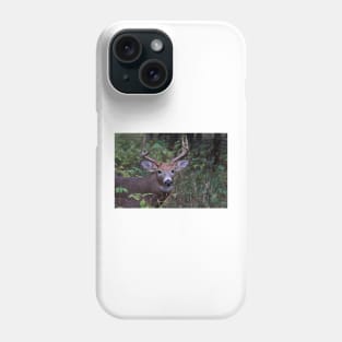 Big Sleepy Buck - White-tailed deer Phone Case