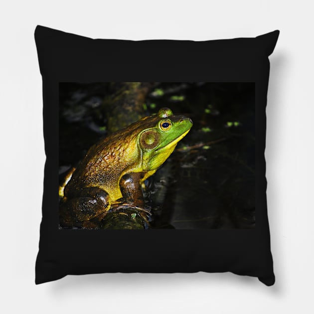 "Prince Charming" Pillow by LaurieMinor