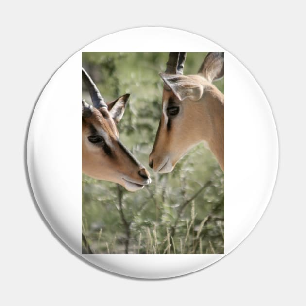 Deer Love Pin by calamarisky