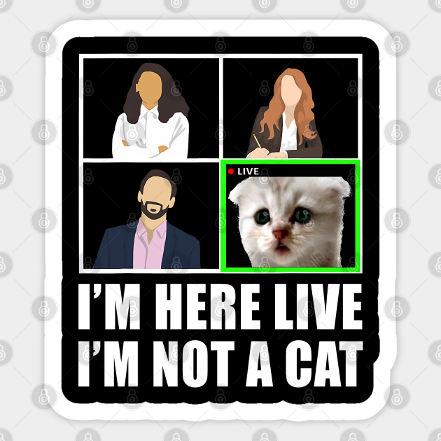I M Here Live I M Not A Cat Funny Zoom Fail Meme Gift Im Here Live Im Not A Cat Sticker Teepublic