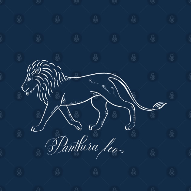 Lion (Panthera Leo) by illucalliart