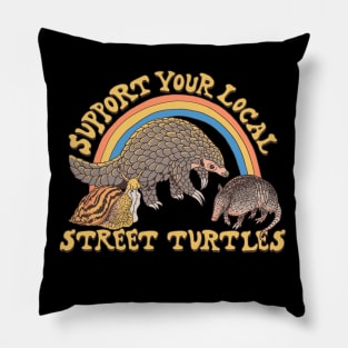 Street Turtles Pillow