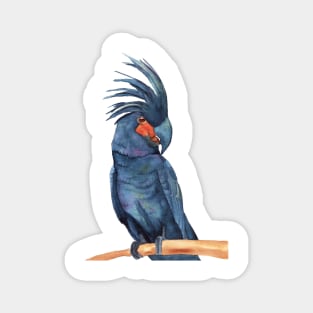 Great Red black palm cockatoo goliath parrots watercolor Magnet