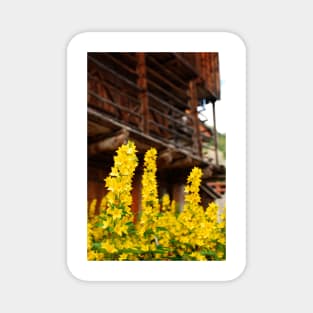 Wooden Farm Building with Foreground Flowers Magnet