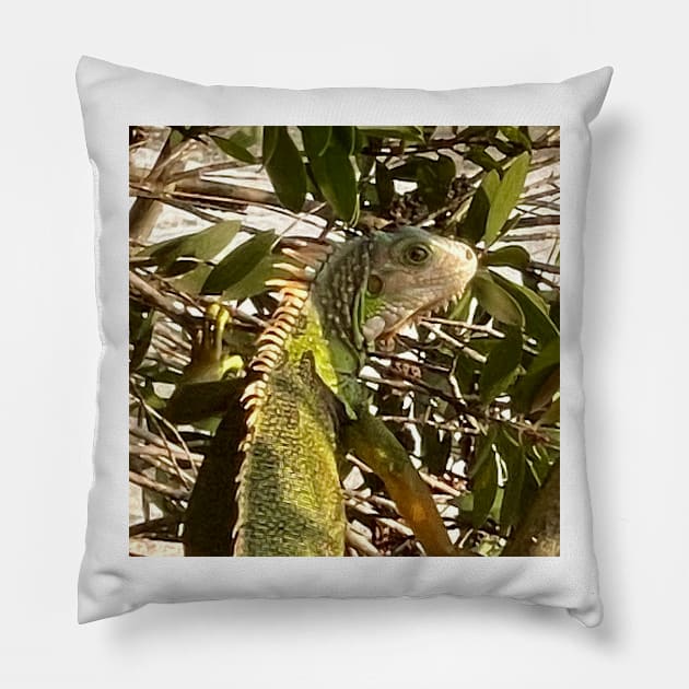 Alert Green Iguana Climbing a Tree Pillow by gldomenech