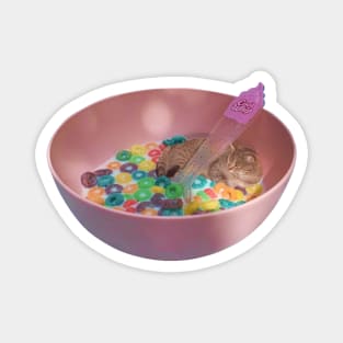 Cat Cereal Magnet