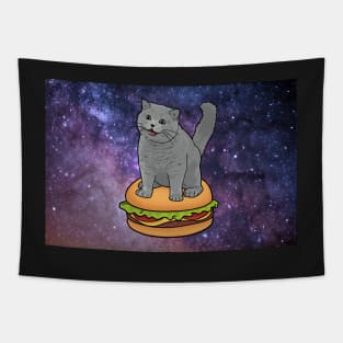 I CAN HAS CHEEZBURGER chubby meme cat in space Tapestry