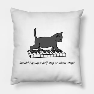 Music Theory Cat Pillow