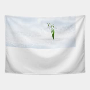 Spring twin snowdrop on fresh snow Tapestry