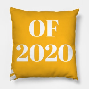 Class of 2020 quarantined Pillow